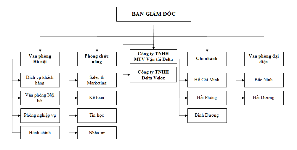 Sơ đồ tổ chức